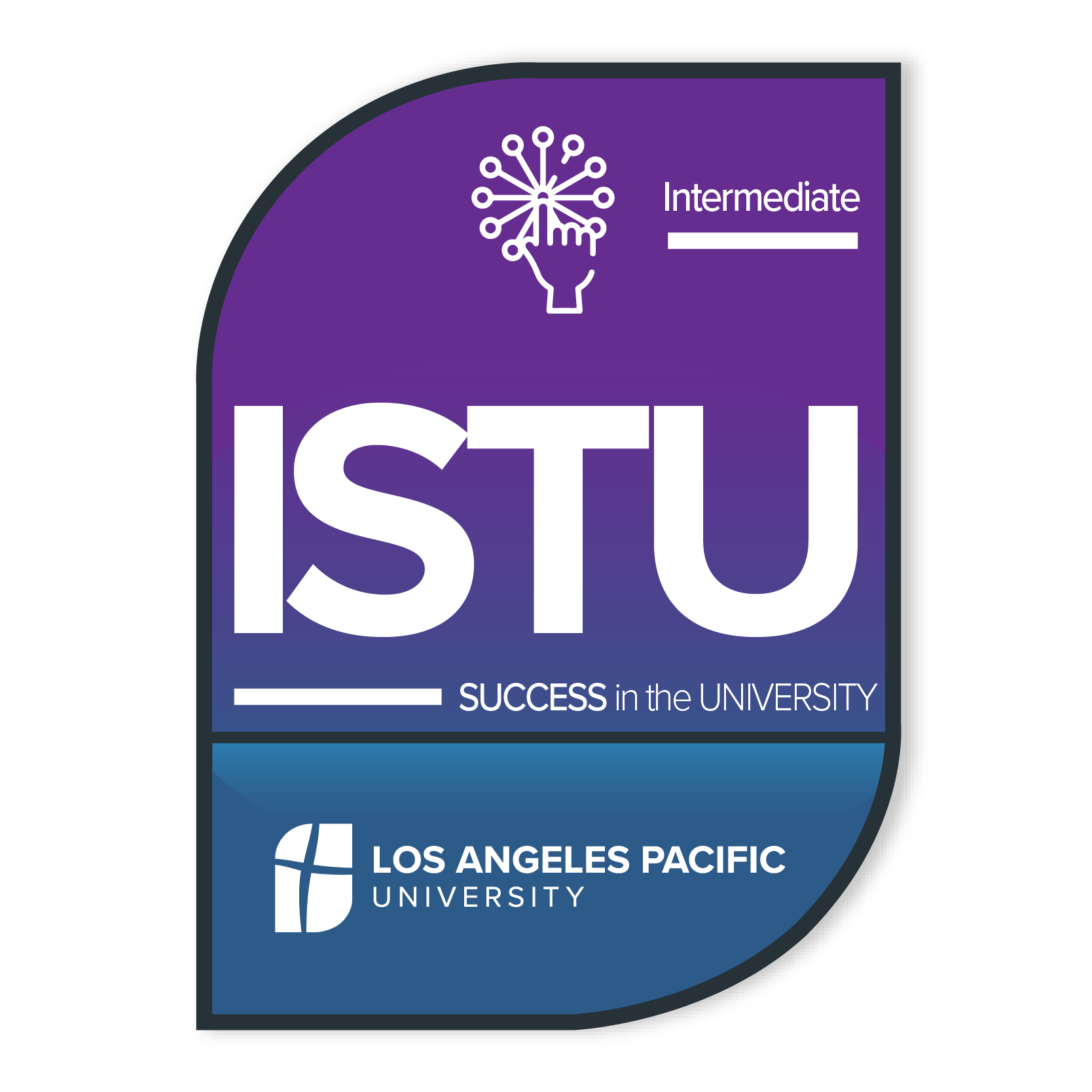 ISTU 101 Badge Intermediate