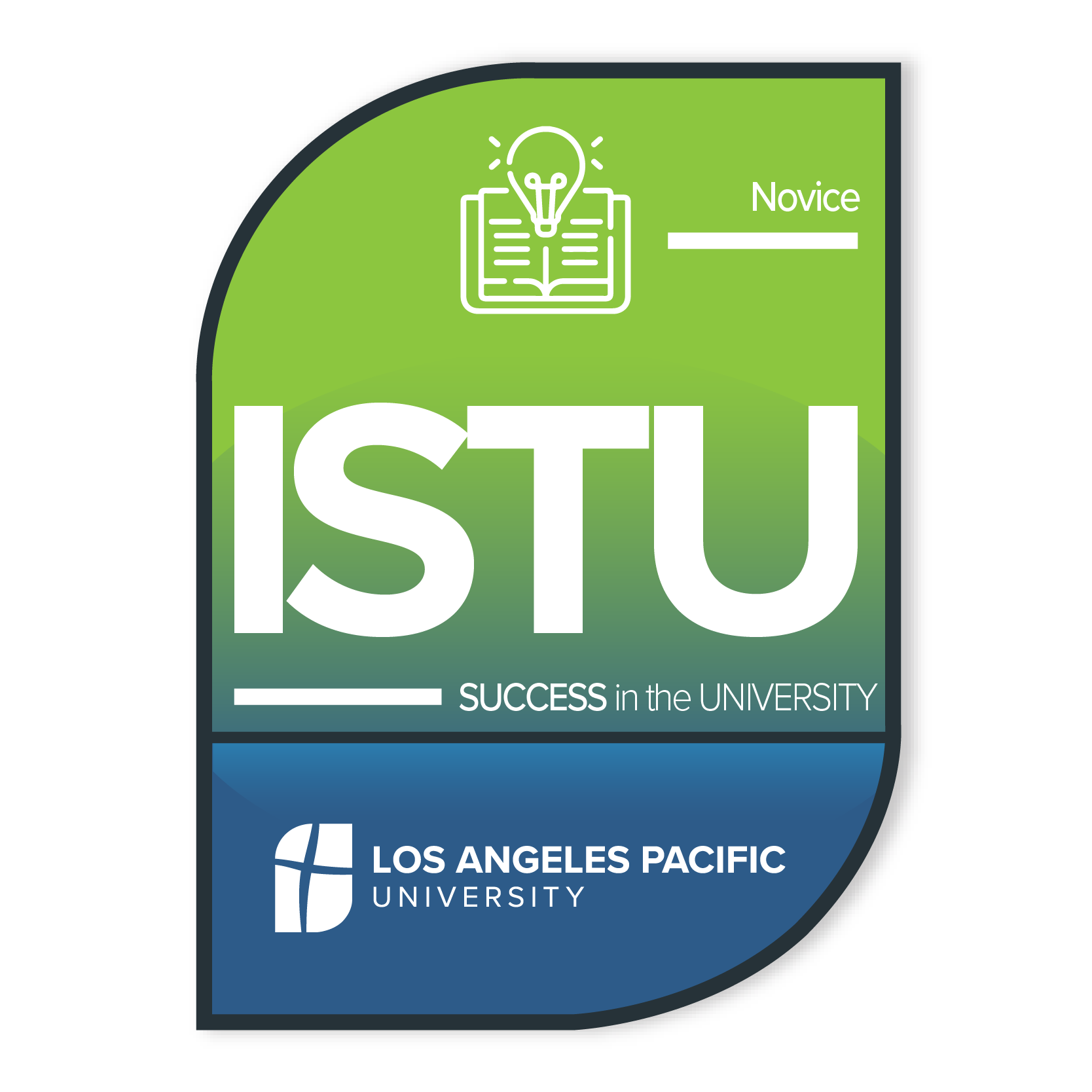 ISTU Badge 2 Novice